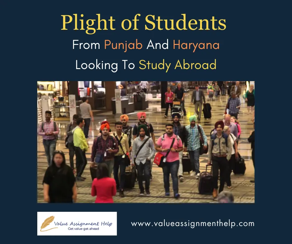 Plight Of Students From Punjab And Haryana Looking To Study Abroad